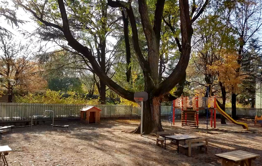 Airone scuola infanzia