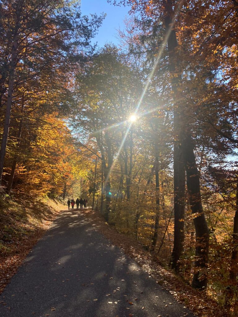 Herbstausflug der Klasse 3B